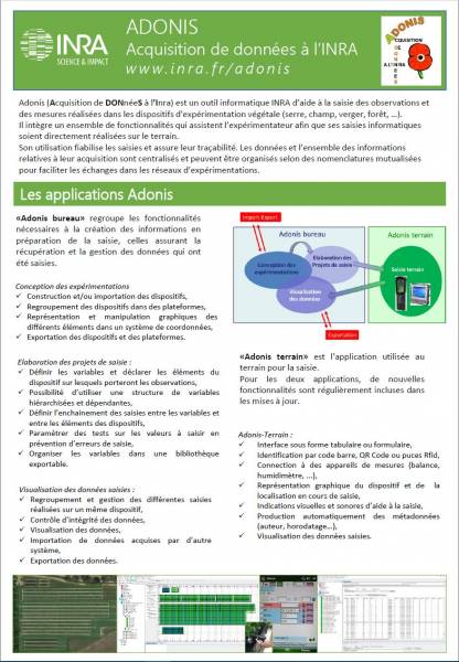 Flyer Adonis
